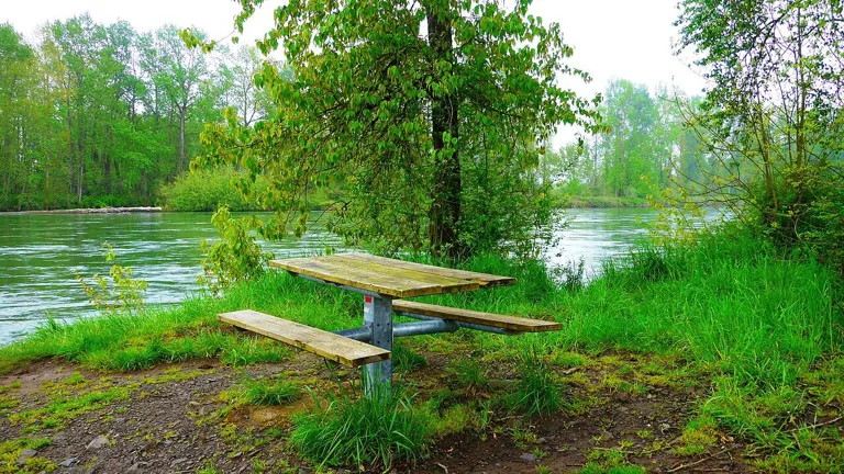Marshall Island Park Picnic Table by the Willamette River