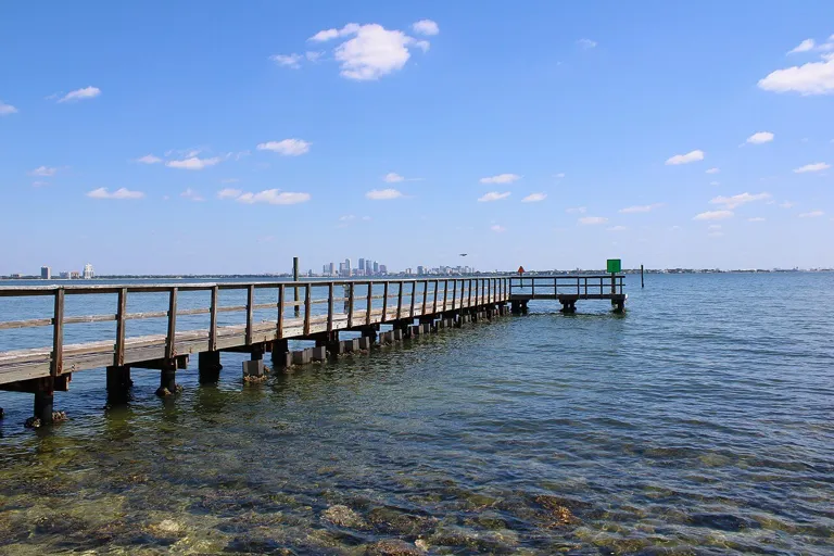 Tampa skyline — Tampa Skyline from Ballast Point Park April 2024