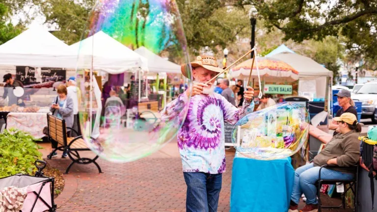 Dunedin Downtown Market — official venue or organizer image