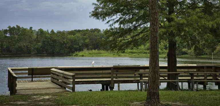 Al Lopez — park photograph
