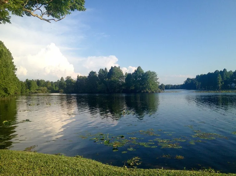 Hillsborough River at Lettuce Lake Park