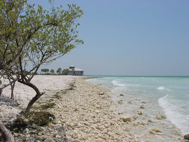 Honeymoon Island State Park (Image 2)