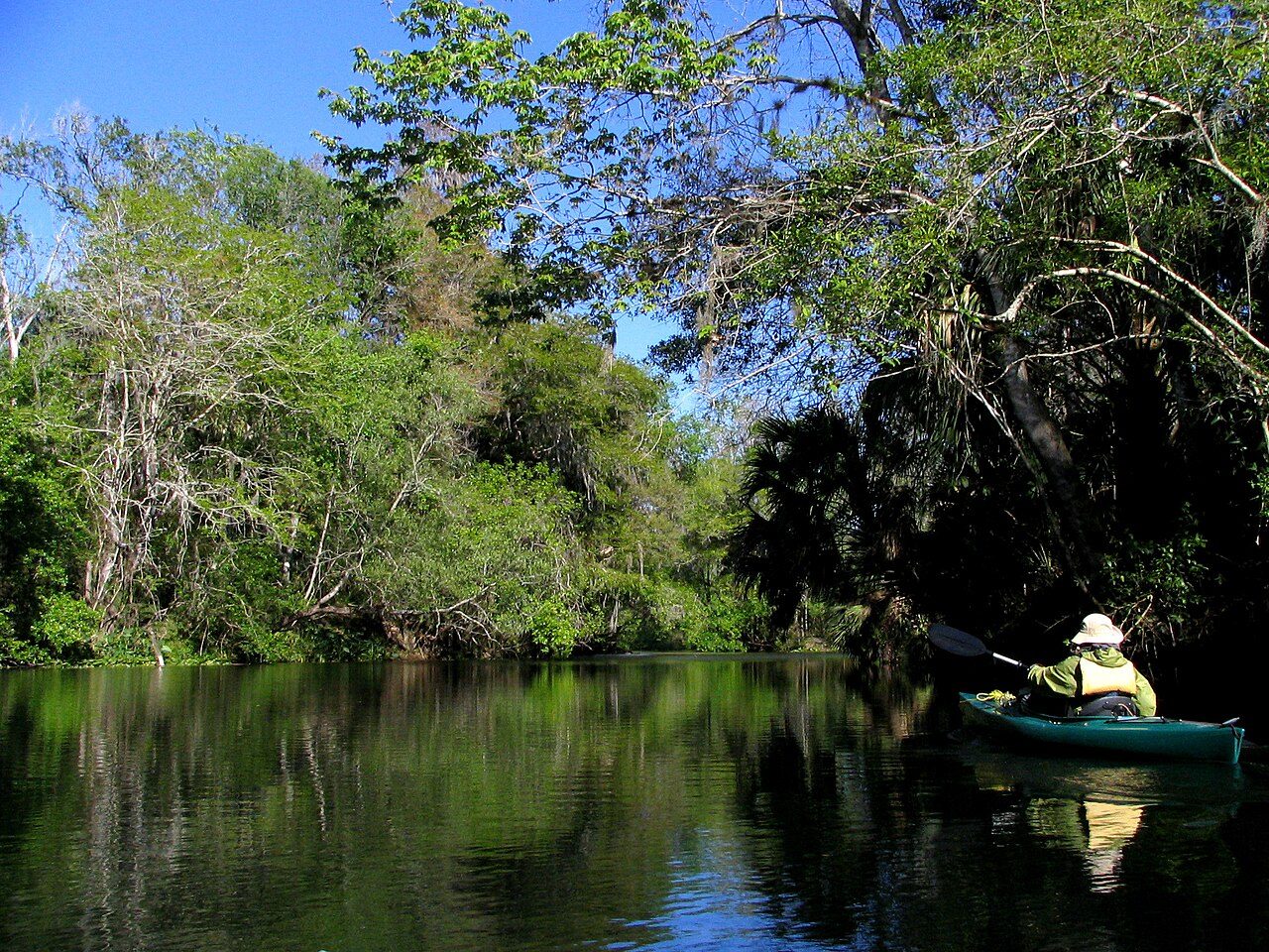 Paddling on the Hillsborough River