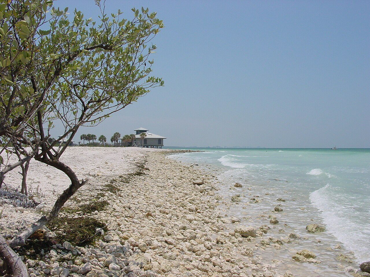 Honeymoon Island State Park (Image 2)