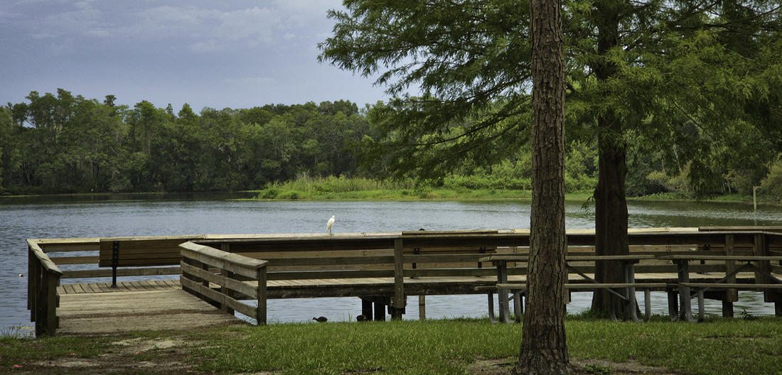 Al Lopez — park photograph