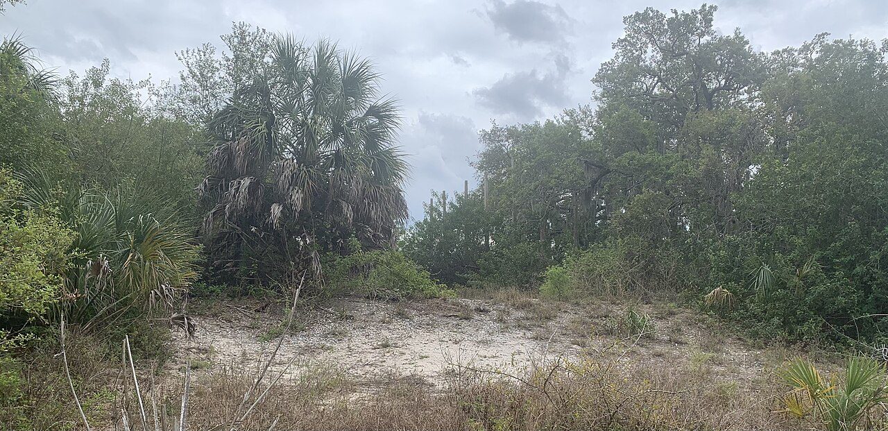 Weedonislandmound